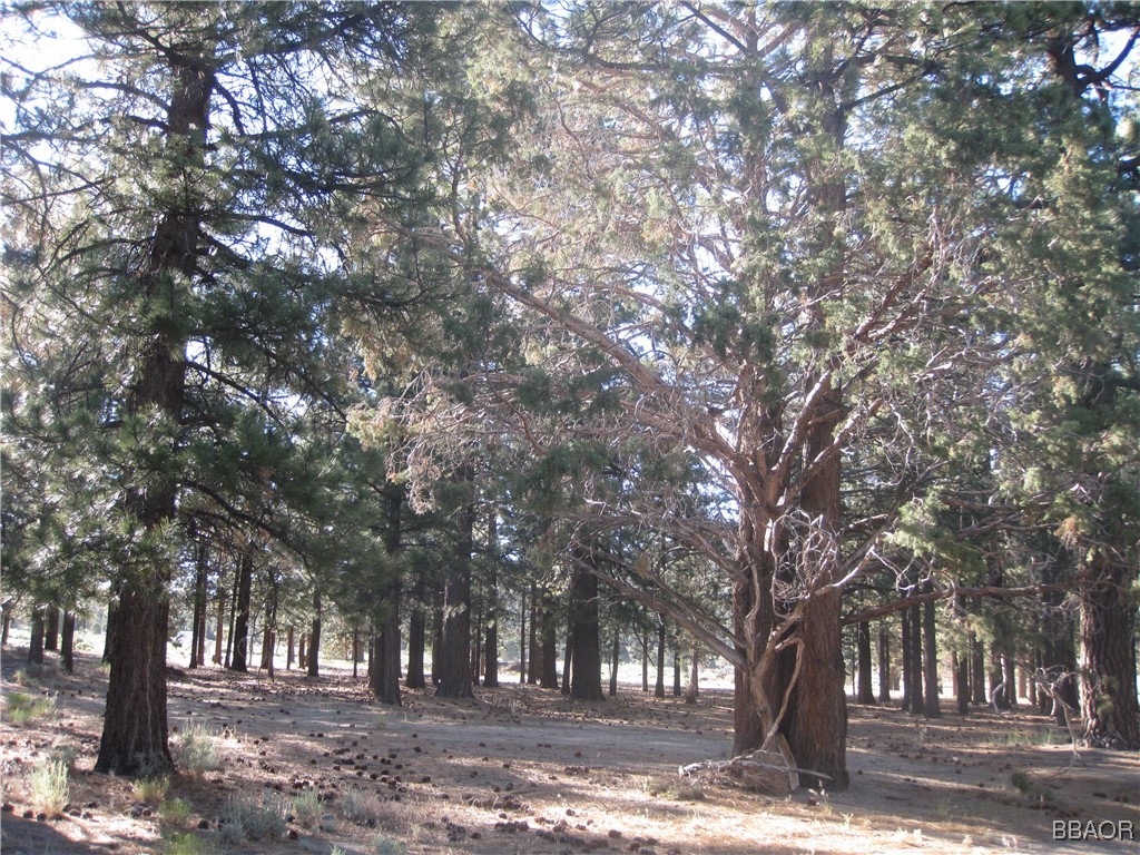2818 Erwin Ranch Road Property Photo 1