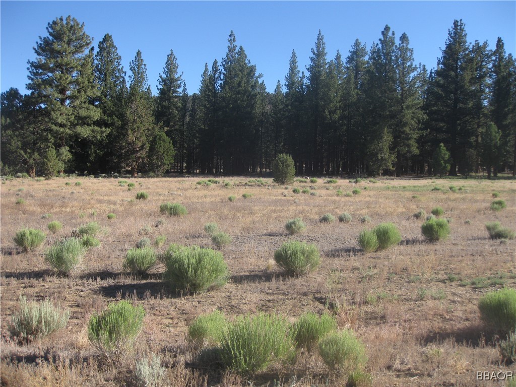 2818 Erwin Ranch Road Property Photo 2
