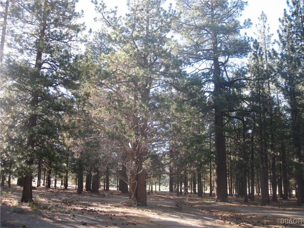 2818 Erwin Ranch Road Property Photo 3