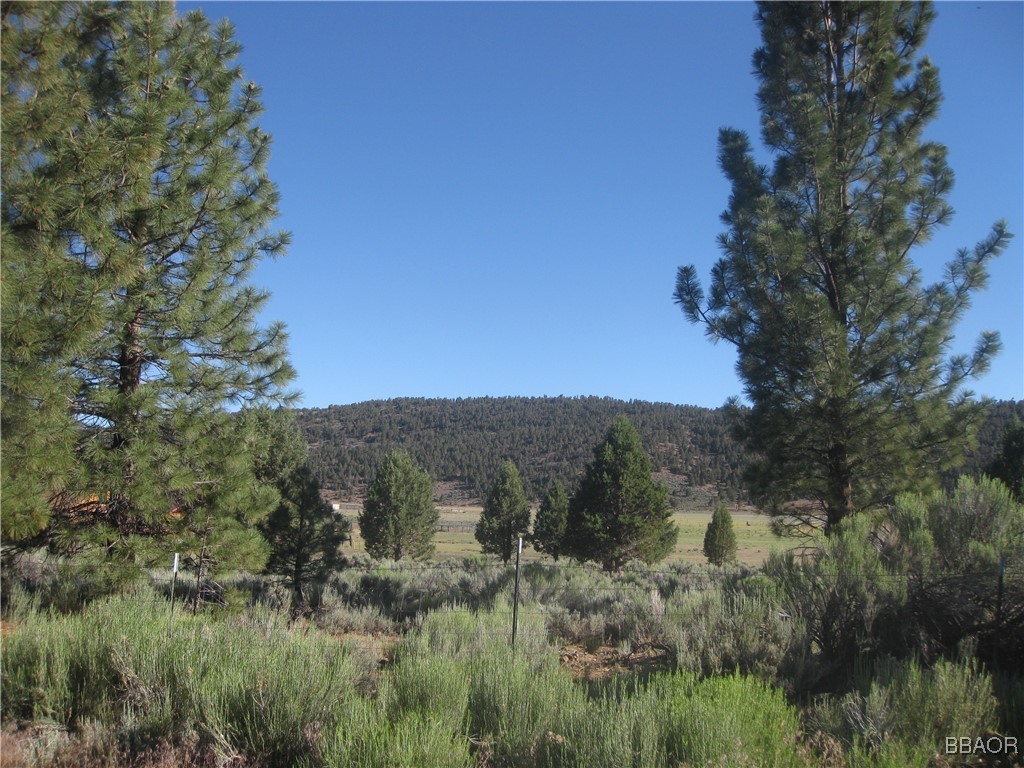 2805 Cedar Lane Property Photo 1