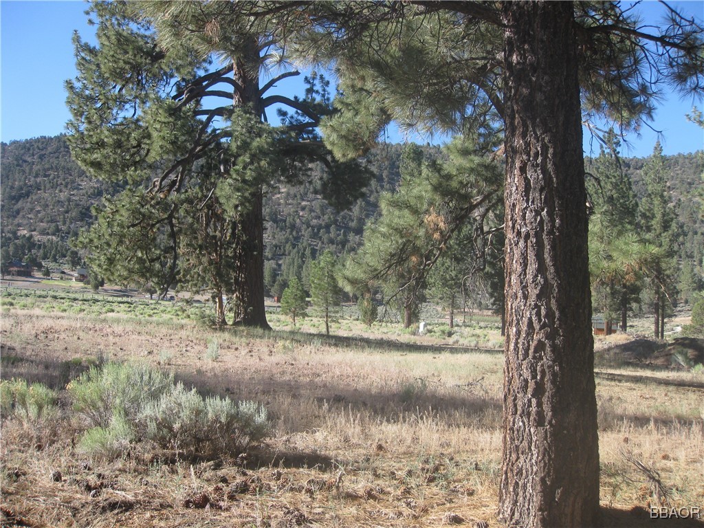 2824 Erwin Ranch Road Property Photo 1