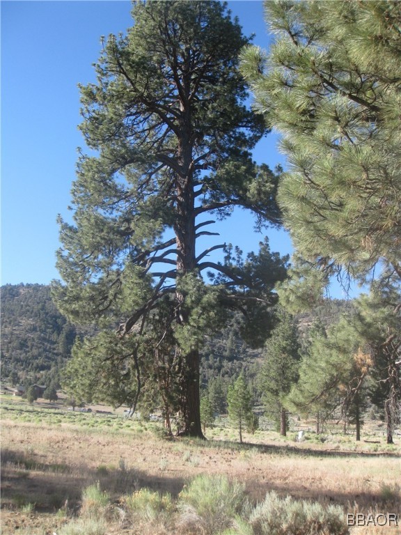 2824 Erwin Ranch Road Property Photo 2