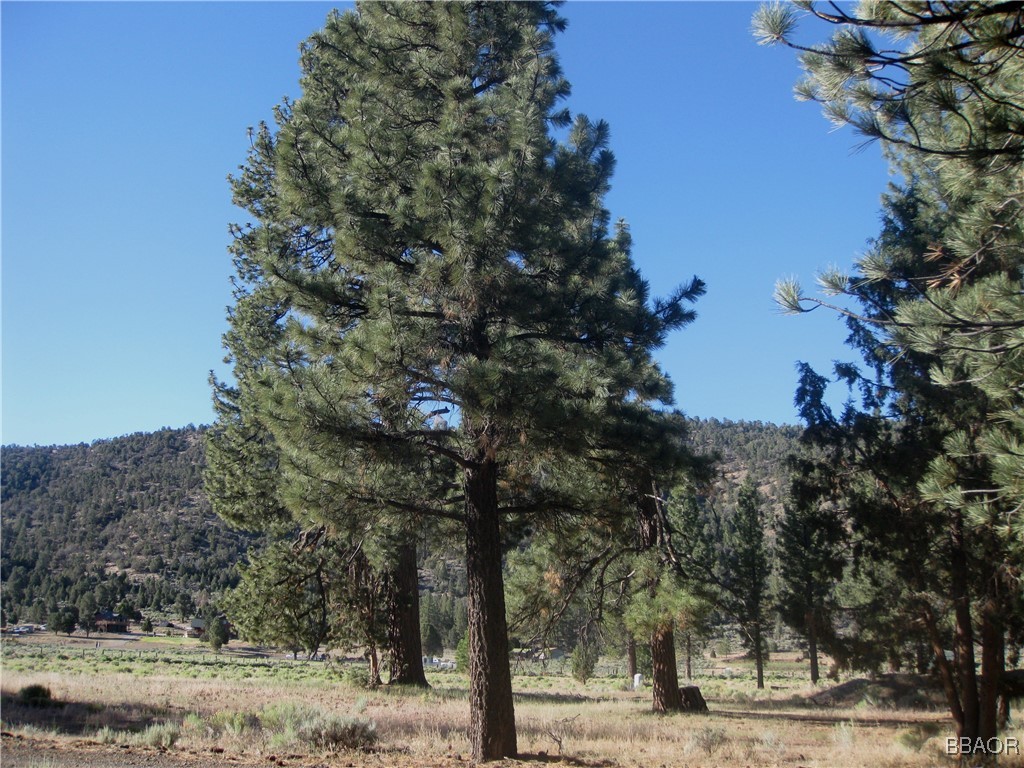 2824 Erwin Ranch Road Property Photo 3