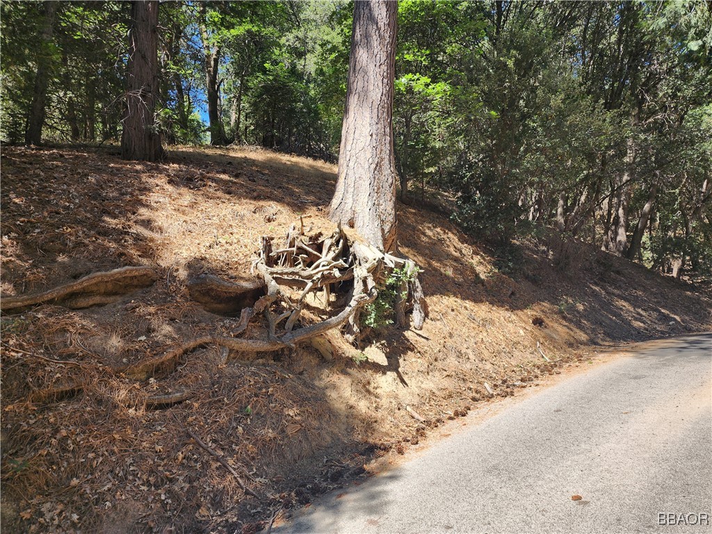 0 Edelweiss Drive Property Photo 6