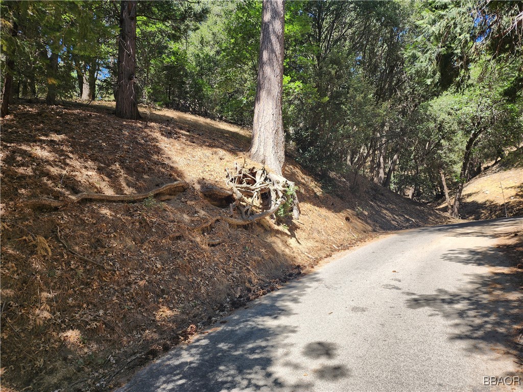 0 Edelweiss Drive Property Photo 7