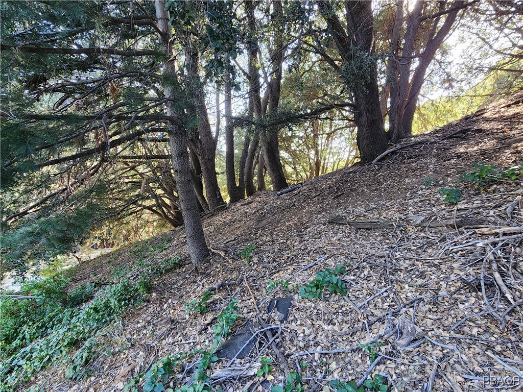 0 Delle Drive Property Photo 11