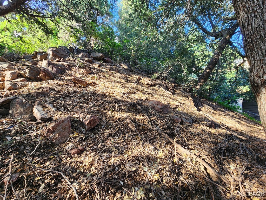 0 Delle Drive Property Photo 14