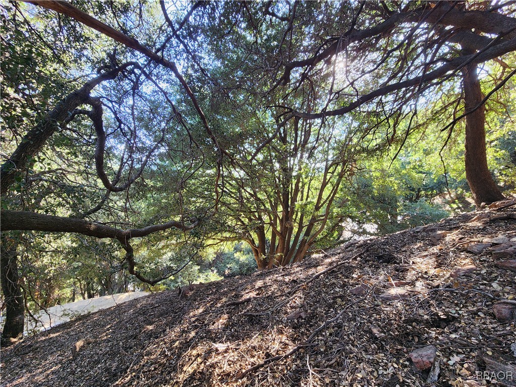 0 Delle Drive Property Photo 15