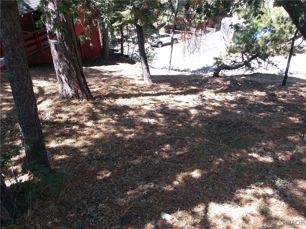 32960 Lone Pine Drive Property Photo 1
