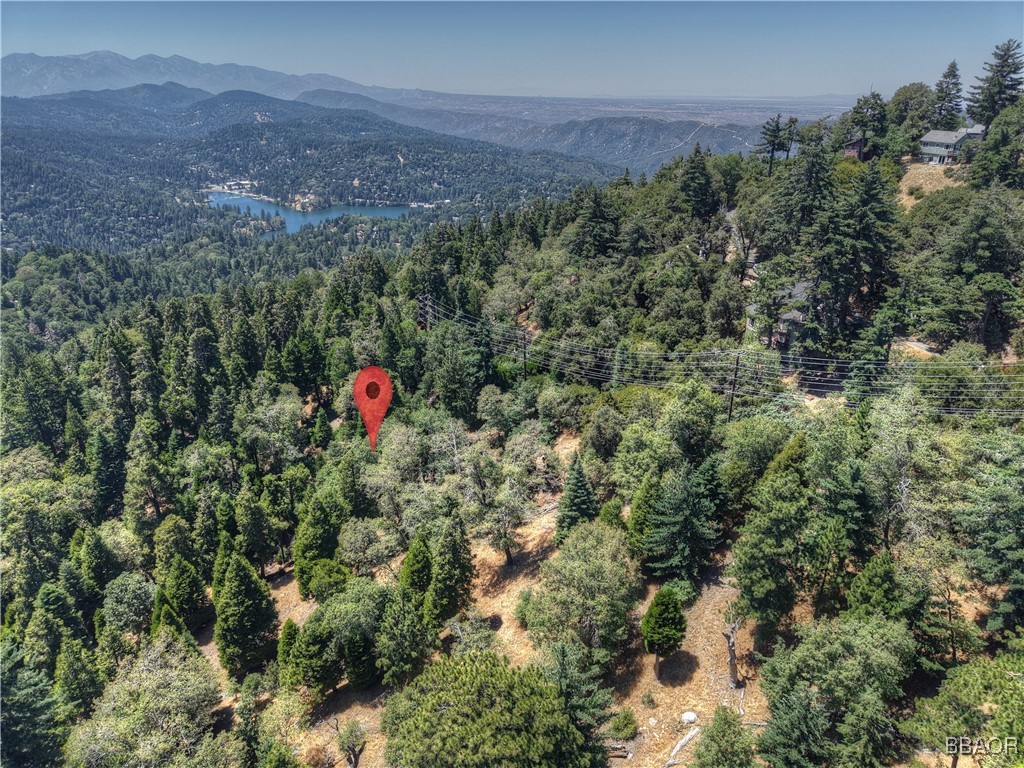 0 Pine Trail Property Photo 1