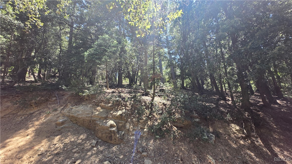 0 Mojave River Road Property Photo 1