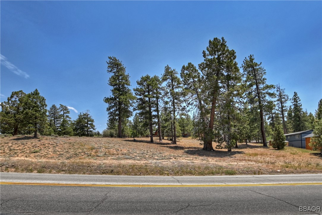 0 Big Bear Property Photo 11