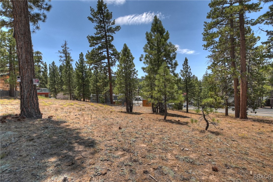 0 Big Bear Property Photo 16