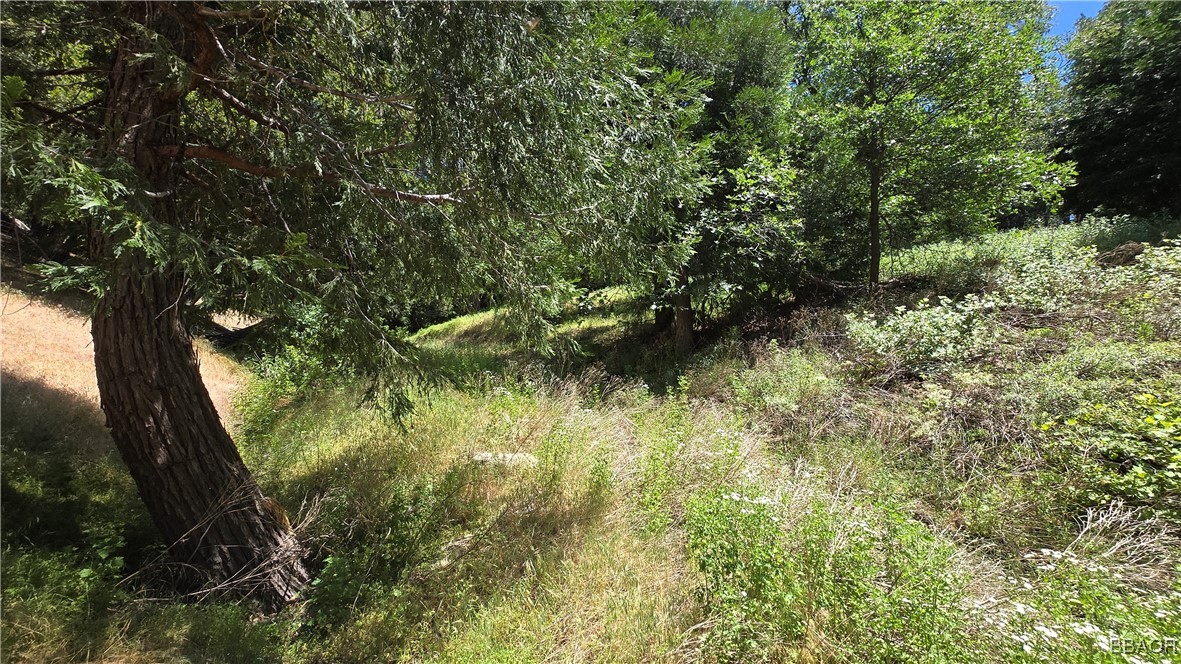 0 Mojave River Property Photo 2