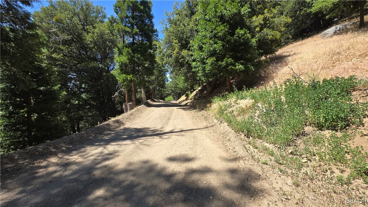 0 Mojave River Property Photo 3
