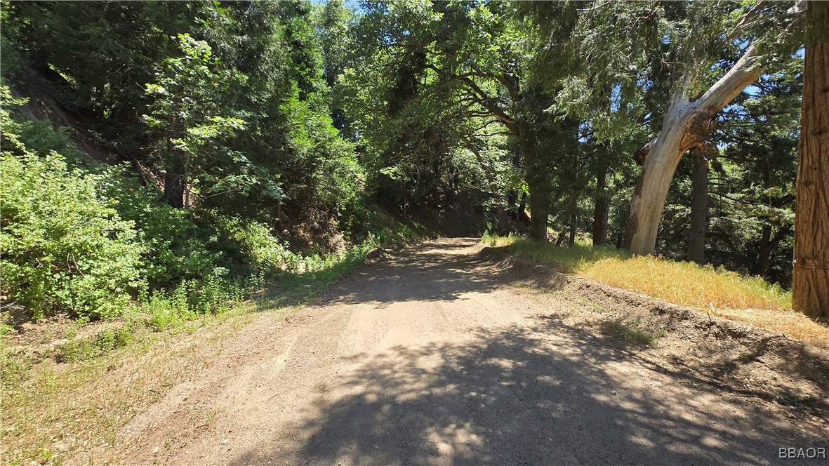 0 Mojave River Property Photo 4