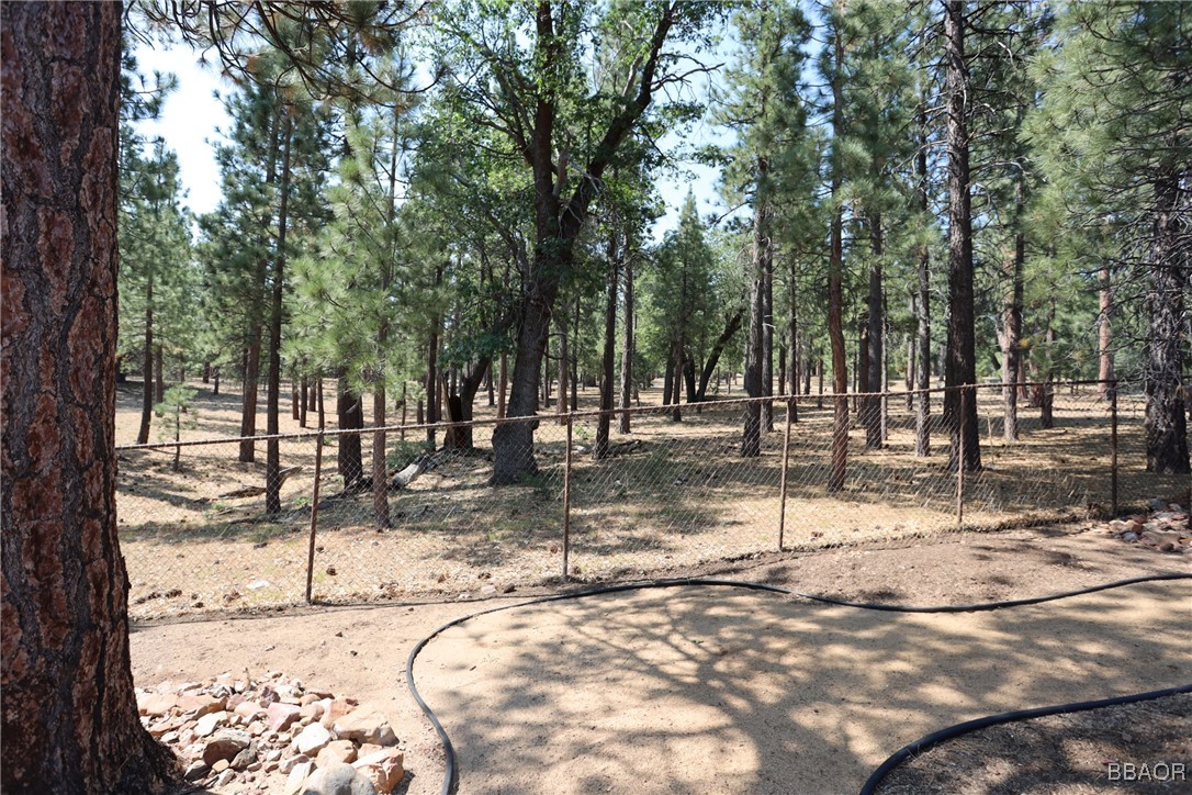 42299 Heavenly Valley Road Property Photo 24