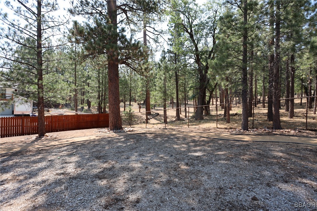 42299 Heavenly Valley Road Property Photo 27
