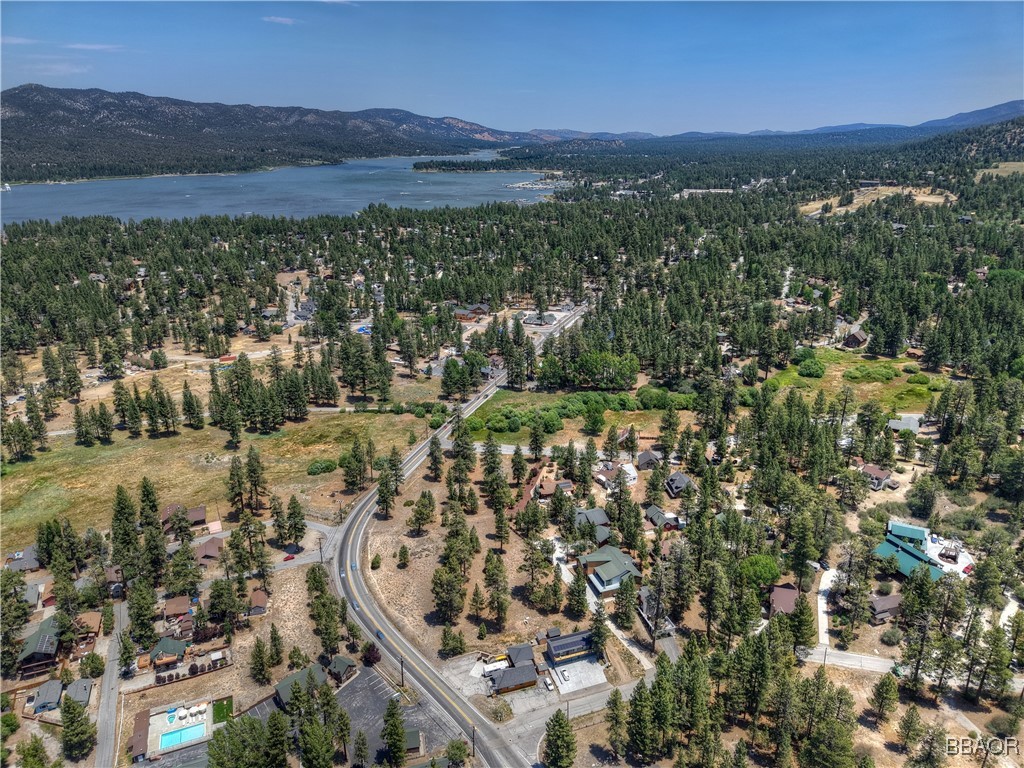39799 Big Bear Property Photo 4