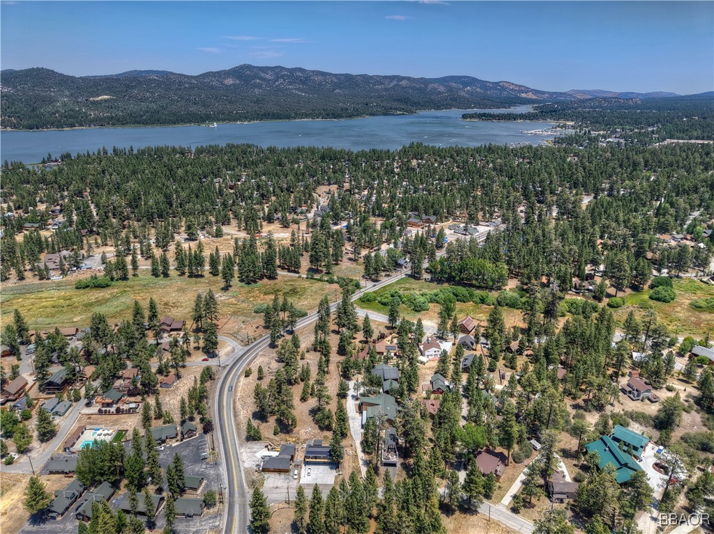 39799 Big Bear Property Photo 5