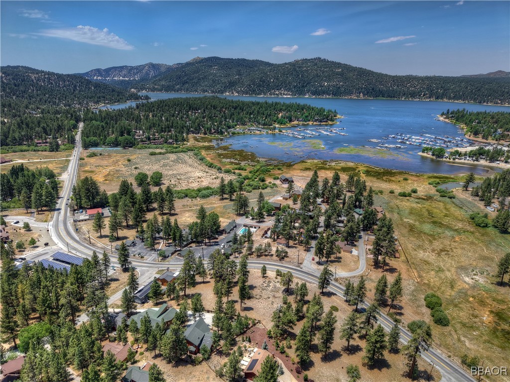 39799 Big Bear Property Photo 6