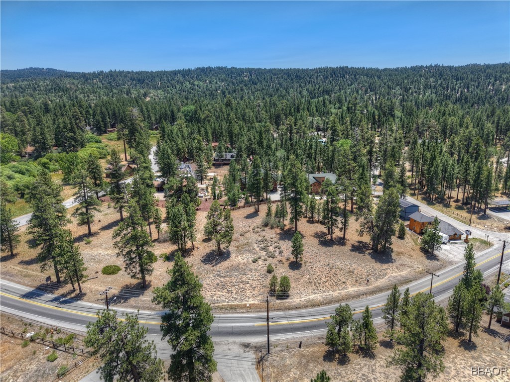 39799 Big Bear Property Photo 8