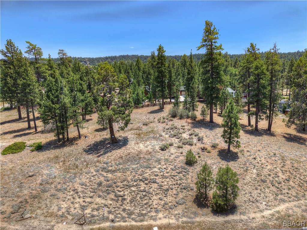 39799 Big Bear Property Photo 9