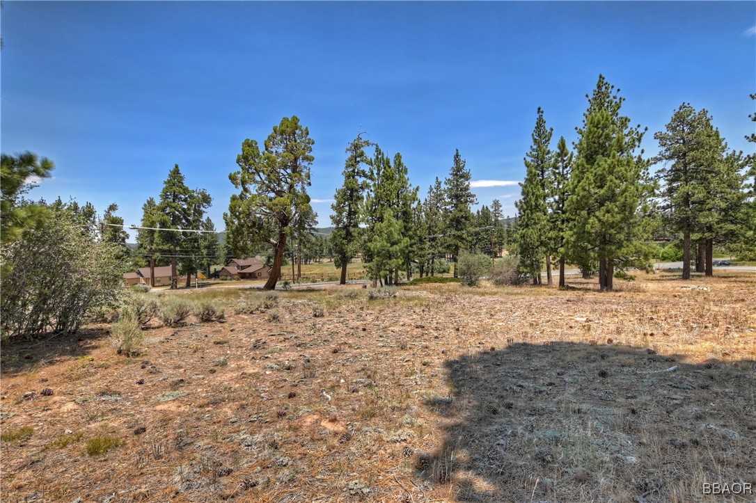 39799 Big Bear Property Photo 11