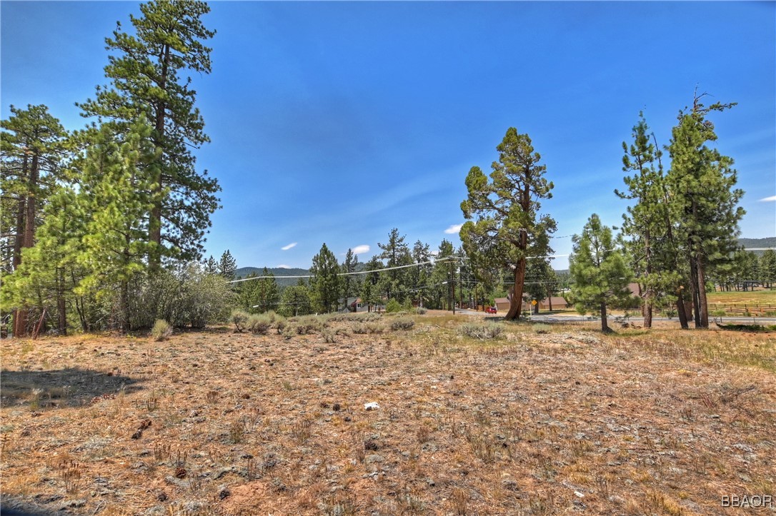 39799 Big Bear Property Photo 12