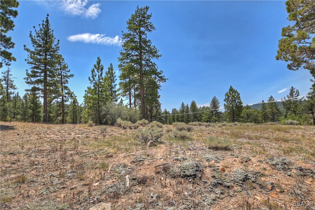 39799 Big Bear Property Photo 13