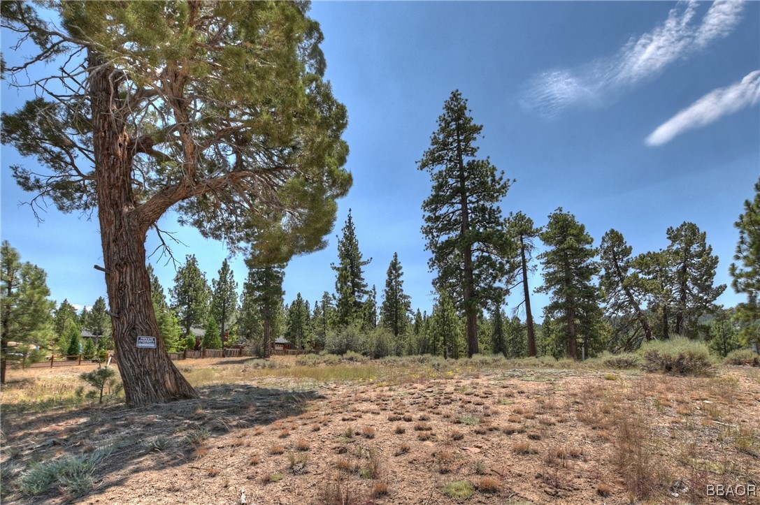 39799 Big Bear Property Photo 14
