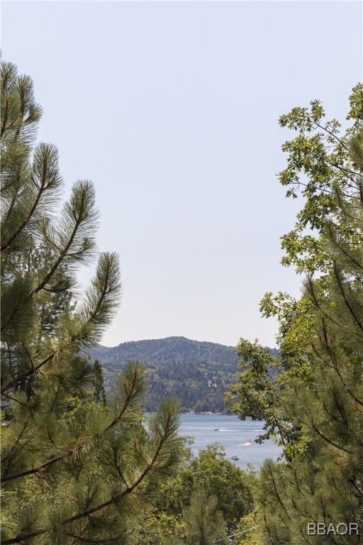 27592 West Shore Road Property Photo 5
