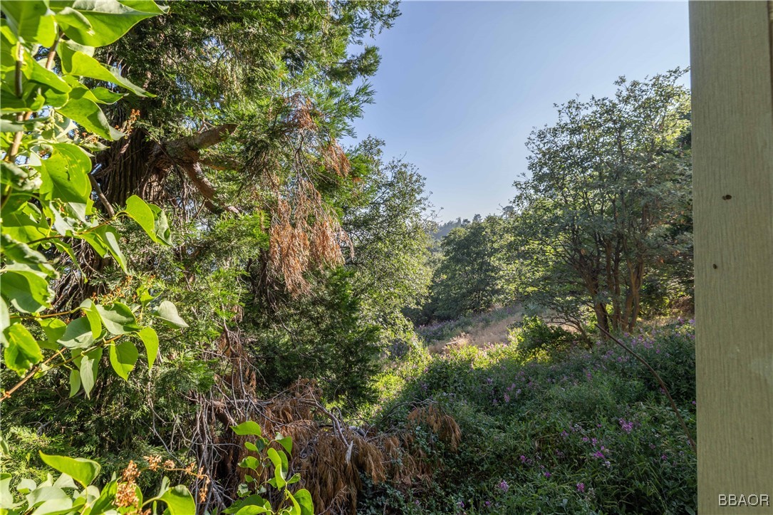 28503 Rim Of The World Highway Property Photo 4
