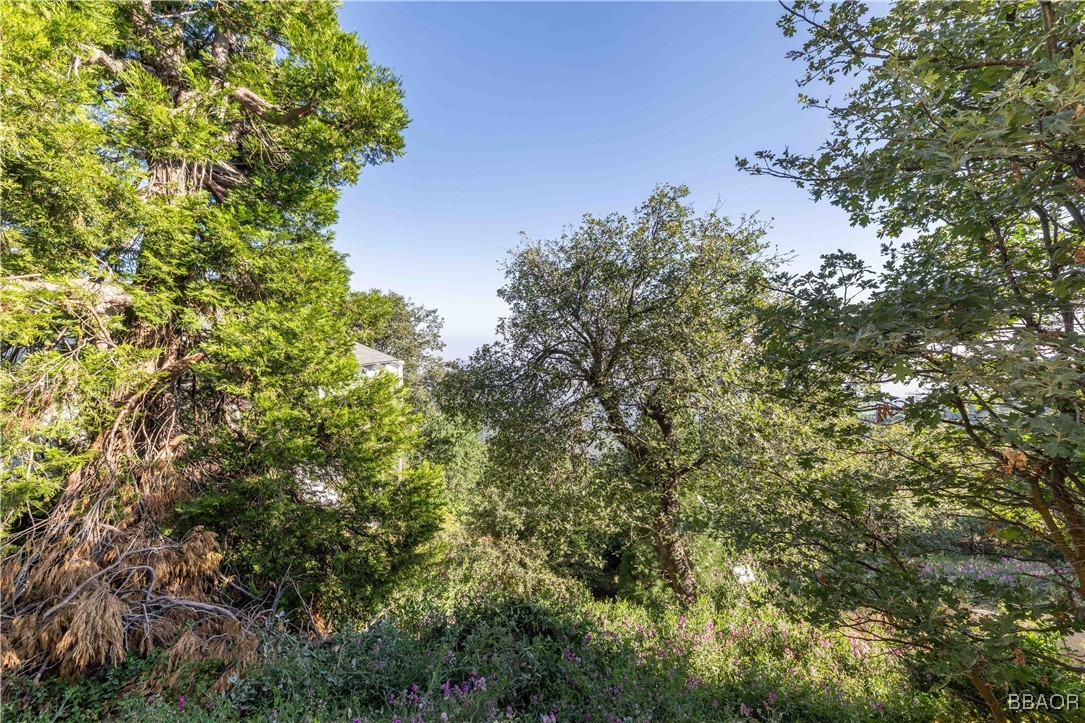 28503 Rim Of The World Highway Property Photo 5