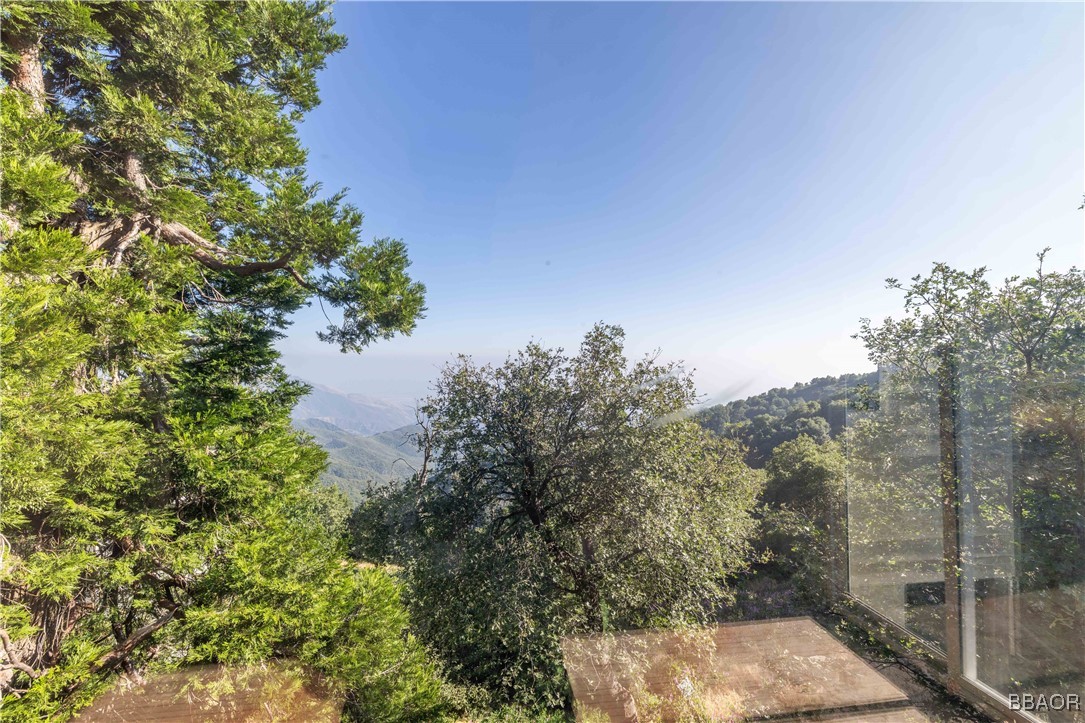 28503 Rim Of The World Highway Property Photo 6