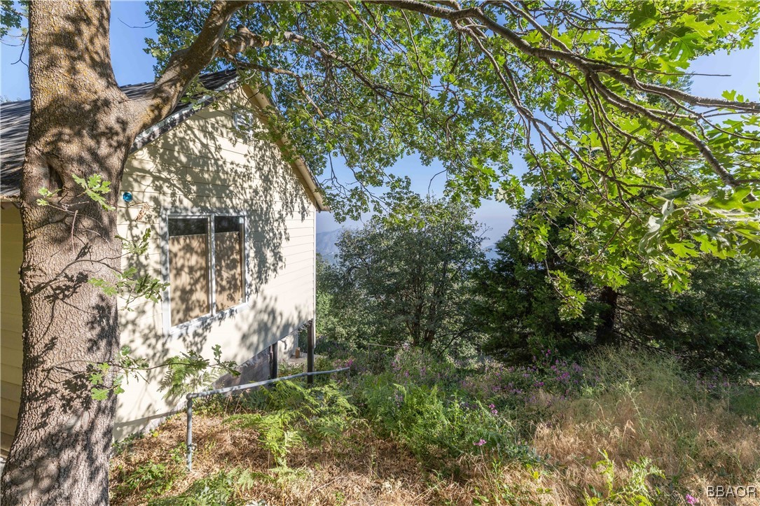 28503 Rim Of The World Highway Property Photo 9