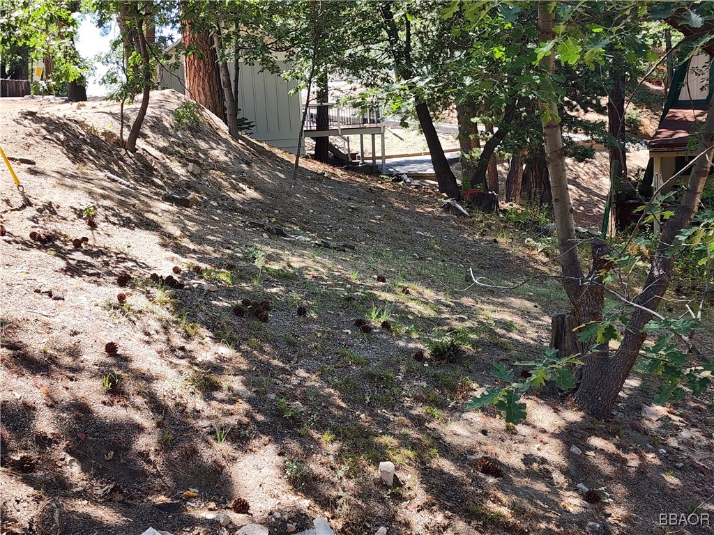 2481 Spruce Drive Property Photo 21