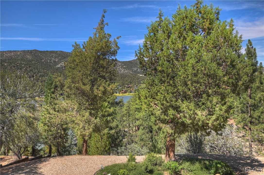 463 Windsong Property Photo 43