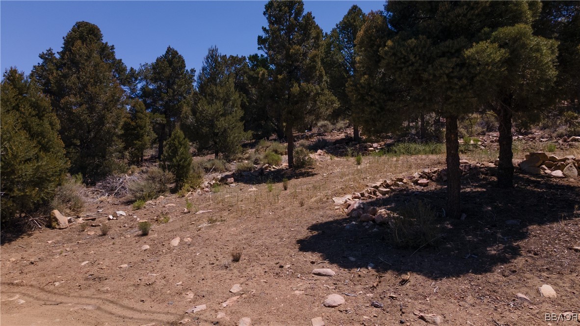0 Upland Property Photo 1