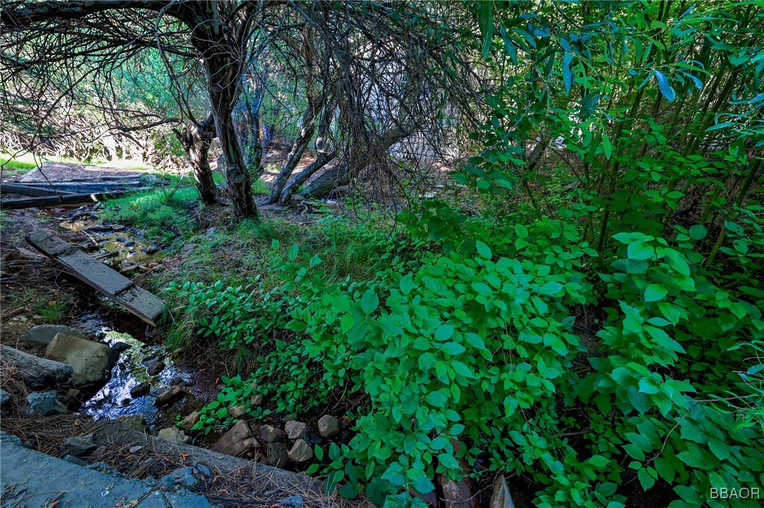 40415 Big Bear Boulevard Property Photo 21