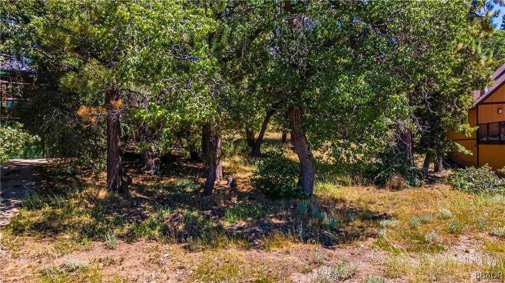 1483 Lassen Drive Property Photo 15