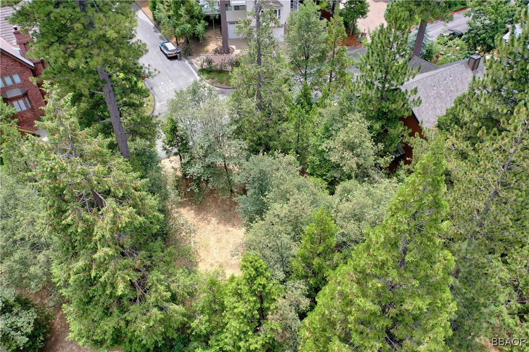 27513 Meadow Bay Drive Property Photo 4