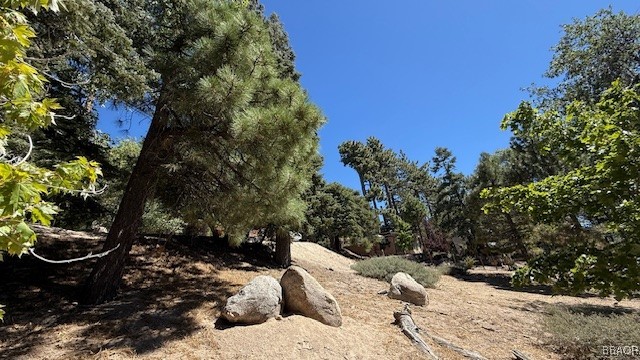 0 Piedras Grande Property Photo 6