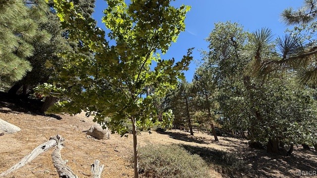 0 Piedras Grande Property Photo 7