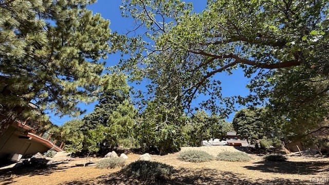 0 Piedras Grande Property Photo 9