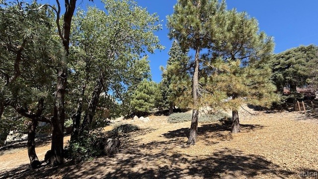0 Piedras Grande Property Photo 11