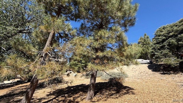 0 Piedras Grande Property Photo 14