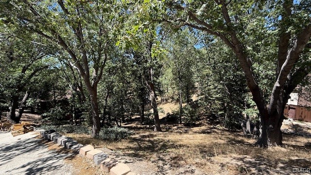 736 Dahlia Drive Property Photo 3