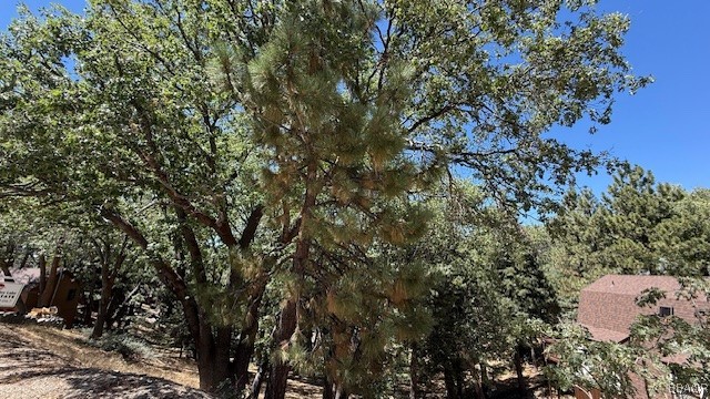 736 Dahlia Drive Property Photo 8