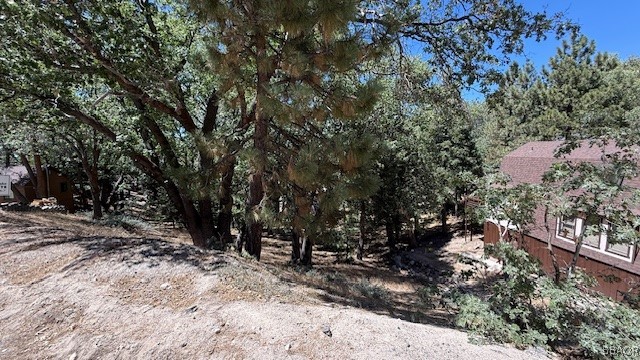 736 Dahlia Drive Property Photo 9
